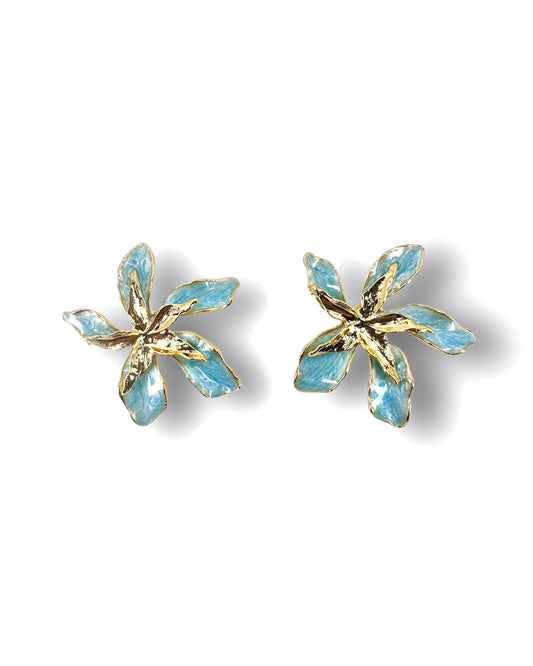 Turkuaz Yıldız Çiçeği Küpe